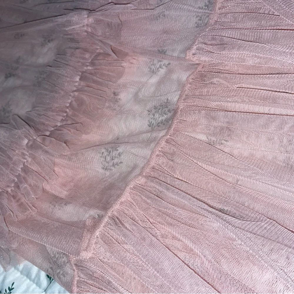 Pink Sheer Ruffled Skirt - Picture 2 of 3
